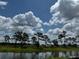 Waterfront landscape with lush greenery and pine trees at 9572 Vibrant Lane, Venice, FL 34292