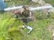 Rusty pool pump in need of repair at 156 Francis Ne Dr, Port Charlotte, FL 33952