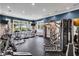 Well-equipped gym with modern machines, fitness equipment, and large windows offering bright views at 1529 Rio Vista Ter, Parrish, FL 34219
