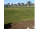 View of a lush green golf course at 13 Polar Ct, Placida, FL 33946