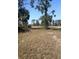 Vacant lot with mature trees and scrub brush at 13 Polar Ct, Placida, FL 33946