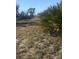 Vacant lot with tall grass and vegetation at 13 Polar Ct, Placida, FL 33946
