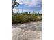 Vacant lot with natural vegetation and sandy soil at 63 Coxswaine Cir, Placida, FL 33946
