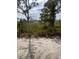Overgrown vacant lot with distant home view at 63 Coxswaine Cir, Placida, FL 33946