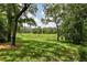 Serene backyard with lush grass and large shade trees at 533 Bent Oak Ct, Spring Hill, FL 34609