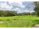 Spacious vacant land with mature trees and open field at 533 Bent Oak Ct, Spring Hill, FL 34609