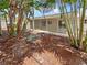 Spacious backyard with lush tropical landscaping and a screened patio at 1900 63Rd S Ave, St Petersburg, FL 33712