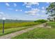 Pathway along waterfront with bench, grass, and trees offering scenic views at 6219 Palma Del Mar S Blvd # 301, St Petersburg, FL 33715