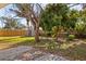 Spacious backyard featuring mature trees, a storage shed, and a paved patio area at 1023 Madison St, Largo, FL 33770