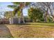 Large backyard with a shed, mature trees, offering plenty of space for outdoor activities at 1023 Madison St, Largo, FL 33770