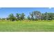Expansive backyard with lush green grass and natural landscaping along the rear property line at 4990 Fairhope Cir, Lakewood Ranch, FL 34211
