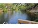 Serene river view with lush greenery and wooden dock at 291 Mossy River Ct, Brandon, FL 33511