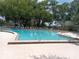 Relaxing community pool with surrounding lounge chairs at 36750 Us Highway 19 N # 13-216, Palm Harbor, FL 34684