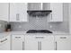 Modern kitchen with stainless steel appliances and a gas cooktop at 8231 Dunham Station Dr, Tampa, FL 33647