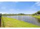 Serene pond view with lush green landscaping at 8064 Olive Brook Dr, Wesley Chapel, FL 33545