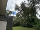 Landscaped backyard with mature trees and vegetation at 4706 W Estrella St, Tampa, FL 33629