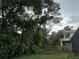 Spacious backyard with lush landscaping and trees at 4706 W Estrella St, Tampa, FL 33629