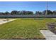 Lush, green backyard with well-maintained lawn and privacy fence, perfect for outdoor enjoyment at 9613 Vibrant Lane, Venice, FL 34292