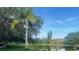 Peaceful pond view with lush landscaping and palm trees at 6043 Anvil Ave, Sarasota, FL 34243
