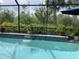 View of a refreshing pool and lush, natural surroundings at 2633 Daisy Dr, North Port, FL 34289