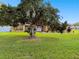 One-story home with stone accents and lush lawn at 12377 Fillmore St, Spring Hill, FL 34609
