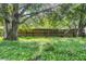 Backyard with large tree and wooden fence at 2821 54Th N St, St Petersburg, FL 33710