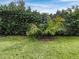 Landscaped backyard with hedge and palm trees at 7615 Campus Cv, Sarasota, FL 34243