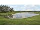 Picturesque view of a tranquil pond surrounded by lush greenery and a clear blue sky at 14033 Crutchfield Ct, Parrish, FL 34219