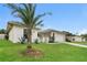 Single story house with a palm tree in front and a grassy yard at 8018 Idle Briar Ln, Port Richey, FL 34668