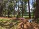 Private wooded backyard near the lake perfect for relaxing and enjoying nature at 23713 Acorn Hill Dr, Lutz, FL 33559