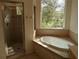 Bathroom features a shower and luxurious soaking tub under a large window, providing natural light and views at 23713 Acorn Hill Dr, Lutz, FL 33559