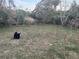 Unkempt backyard with sparse grass at 6114 S 3Rd St, Tampa, FL 33611