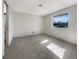 Simple bedroom with gray carpeting and a window with natural light at 290 Dragon Rd, Venice, FL 34293