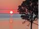 Stunning sunset view over the water, peaceful and serene at 2041 Beach Dr Se, St Petersburg, FL 33705