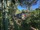 Backyard with overgrown vegetation and a house partially visible at 9431 Pontiac St, New Port Richey, FL 34654