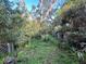 Overgrown backyard with mature trees and a shed at 9431 Pontiac St, New Port Richey, FL 34654