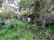 Lush backyard with overgrown vegetation and sheds at 9431 Pontiac St, New Port Richey, FL 34654