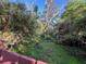 Backyard with overgrown vegetation and a wooden bench at 9431 Pontiac St, New Port Richey, FL 34654
