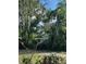 View of a house partially obscured by trees and vegetation at 9431 Pontiac St, New Port Richey, FL 34654