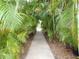 Landscaped walkway lined with lush tropical plants at 903 Pinellas Bayway S # 302, Tierra Verde, FL 33715