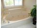 Relaxing bathtub area with neutral tones, bright light, and a plant at 903 Pinellas Bayway S # 302, Tierra Verde, FL 33715