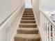 Carpeted staircase with white railings leading to the upper level at 10342 Echo Dock Loop, San Antonio, FL 33576