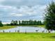Peaceful lakefront view with sandhill cranes at 19293 Breynia Dr, Lutz, FL 33558
