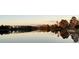 Tranquil lake view with scenic reflection of trees at 19293 Breynia Dr, Lutz, FL 33558
