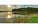 Scenic view of a tranquil lake with lush greenery at 3611 Lajuana Blvd, Wesley Chapel, FL 33543
