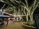Festive park adorned with decorative lights and seasonal displays at 6728 Sea Ranch Dr, Hudson, FL 34667