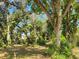 Lush backyard with mature trees and natural landscaping at 21300 Washburn Ave, Port Charlotte, FL 33952