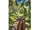 Horseback riding trail through a lush, green canopy of trees at 15625 State Road 62 St, Parrish, FL 34219