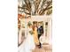 Bride, officiant, and groom posing for a wedding photo at 15625 State Road 62 St, Parrish, FL 34219