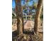 Outdoor wedding space with brick aisle leading to white arch at 15625 State Road 62 St, Parrish, FL 34219